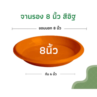 กระถางต้นไม้ 8 นิ้ว กระถางพลาสติก กระถางต้นไม้พลาสติก สีดำเงา สีขาว สีอิฐ (รุ่นหนา)