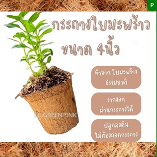 ยกลัง200ใบ กระถางใยมะพร้าว 4นิ้ว coir pors cocopots coconut fiber pots กระถางต้นไม้ ใยมะพร้าว