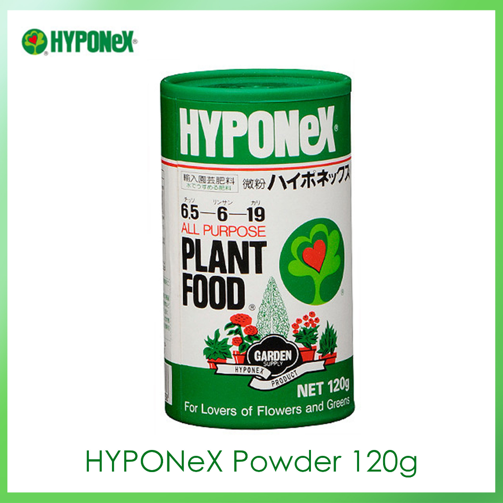 HYPONeX Plant Food Powder fertilizer 120g ไมโครไนซ์ ไฮโปเน็กซ์ 120g N-P-K＝6.5-6-19 肥料 微粉ハイポネックス ปุ๋ยผงละลายน้ำ
