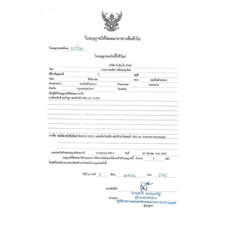 (สามัญประจำบ้าน) ชนิดเม็ด แก้แพ้ คลอร์เฟนามีน มาลีเอท (10เม็ด) บีเอ็ลฮั้ว Chlorpheniramine Maleate CPM