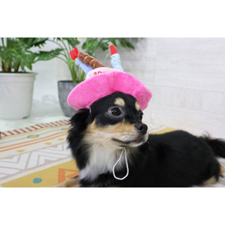 Pet hat หมวกสุนัข หมวกสัตว์เลี้ยง ลายเค้กวันเกิด มีสายรัดคอ 18x18x7 cm สีชมพู STP210617-6P