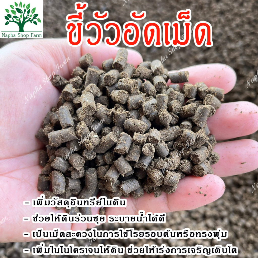 ขี้วัวอัดเม็ด ขนาด 500 กรัม ปุ๋ยขี้วัว ปุ๋ยคอก ปุ๋ยอินทรีย์ บำรุงพืชผัก บำรุงดิน ใช้ได้กับพืชผักทุกชนิด