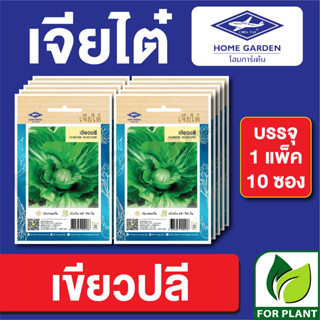 เมล็ดพันธุ์ ผักซอง เขียวปลี ตราเจียไต๋ บรรจุแพ็คล่ะ 10 ซอง ราคา 70 บาท