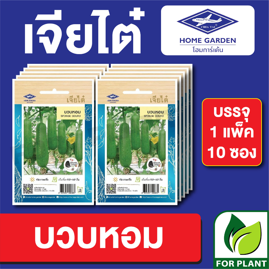 เมล็ดพันธุ์ ผักซอง บวบหอม ตราเจียไต๋ CT15 บรรจุแพ็คล่ะ 10 ซอง ราคา 75 บาท
