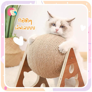 พร้อมส่ง บอลลับเล็บ ของเล่นแมว ลับเล็บแมว รางบอลแมว ที่ลับเล็บแมว ของเล่น แมว😸