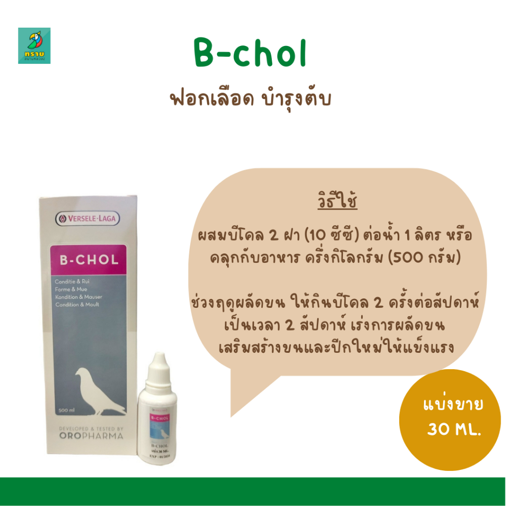 B-CHOL (แบ่งขาย 30 ML.) ฟอกเลือด บำรุงตับ