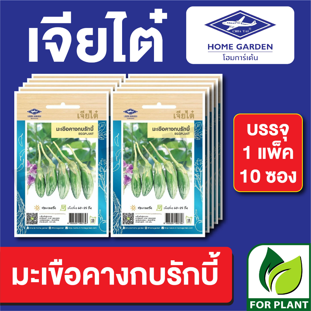 เมล็ดพันธุ์ ผักซอง มะเขือคางกบรักบี้ ตราเจียไต๋ CT15 บรรจุแพ็คล่ะ 10 ซอง ราคา 75 บาท