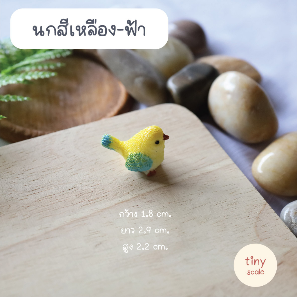 โมเดลนกจิ๋ว สำหรับทำโมเดล ฉาก Diorama จัดสวนถาด สวนโหลแก้ว บ้านตุ๊กตา Miniature