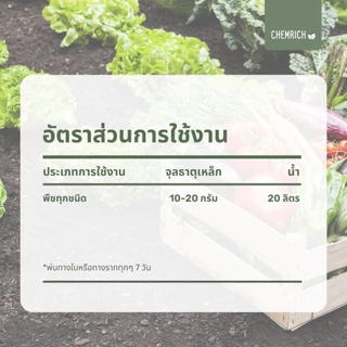 500G/1KG ผงจุลธาตุเหล็ก 19.7% เฟอรัสซัลเฟต (จุลธาตุเหล็ก) สนิมเหล็ก / Ferrous sulfate heptahydrate - Chemrich