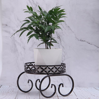 Flower pot stand ชั้นวางกระถางดอกไม้ เหล็ก ชั้นเดียว 25x25x19 cm สีบรอนซ์ ST0531-25BR