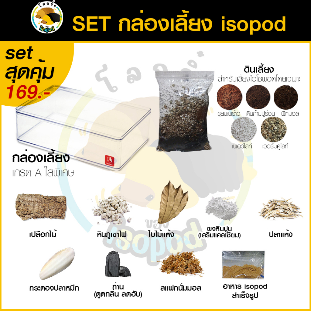 ชุดเลี้ยง ไอโซพอด setกล่องเลี้ยง กล่องอะคริลิคเลี้ยงสัตว์ ดินเลี้ยง เปลือกไม้ สแฟกนั่มมอส isopod