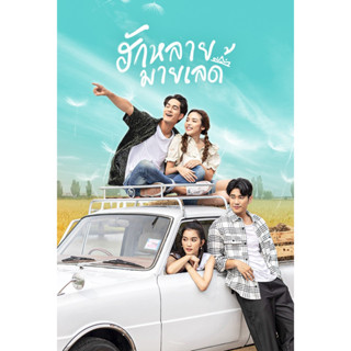 DVD ละครไทย ฮักหลายมายเลดี้ (4แผ่นจบ)