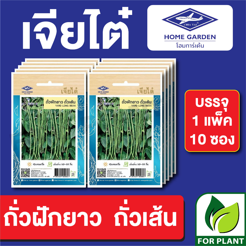 เมล็ดพันธุ์ ผักซอง ถั่วฝักยาว ถั่วเส้น ตราเจียไต๋ CT15 บรรจุแพ็คล่ะ 10 ซอง ราคา 75 บาท