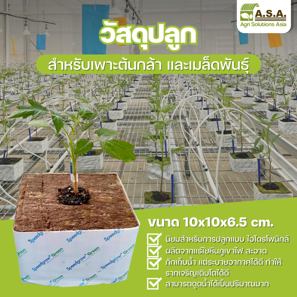 Rock wool (ร็อควูล) แพ็ค 10 ก้อน 231.- วัสดุปลูกสำเร็จรูป ดูดซับน้ำได้ดี