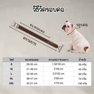 (สีพื้น) ปลอกคอหมา ปลอกคอสุนัข เชือกไนล่อน(แบน) พร้อมส่ง!!