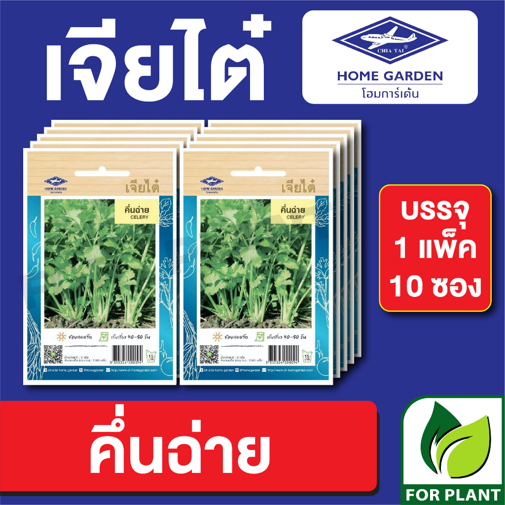 เมล็ดพันธุ์ ผักซอง คื่นฉ่าย เจียไต๋ CT15 บรรจุแพ็ตล่ะ 10 ซอง ราคา 75 บาท