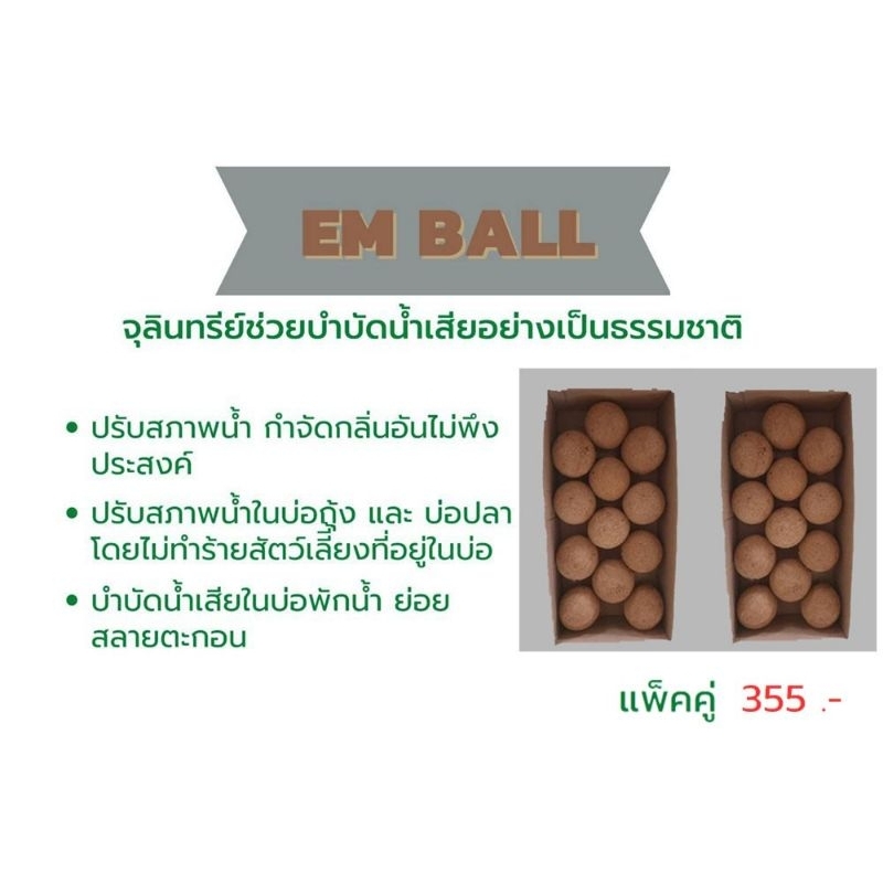 EM BALL กำจัดกลิ่นบำบัดน้ำเสีย