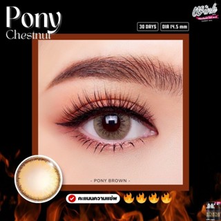 Pitchy Lens คอนแทคเลนส์สายฝอ i Pony Gray..brown