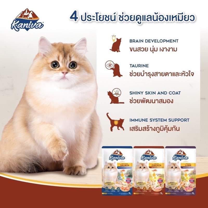Kaniva Pouch อาหารแมว แบบเปียก คานิว่า ผสม Vitamin Balls  ขนาด 70 กรัม - รูปที่ 2