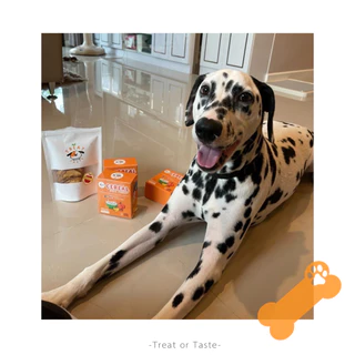 คุกกี้ซีเรียลสุนัข ชิ้นเล็กทานง่าย แพ้ไก่ทานได้ ไม่มีเนื้อสัตว์ | Dog Treat Cereal โฮมเมด | Treat or Taste