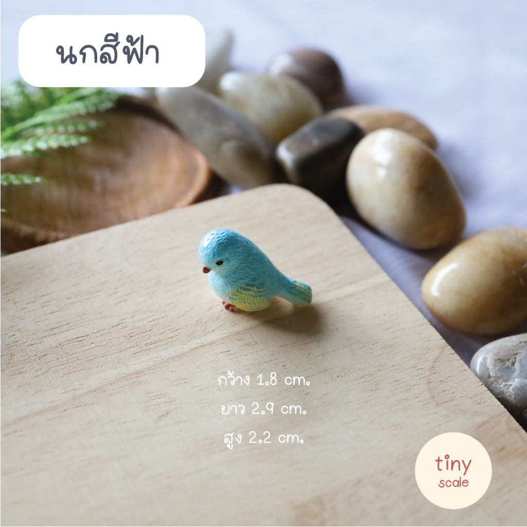โมเดลนกจิ๋ว สำหรับทำโมเดล ฉาก Diorama จัดสวนถาด สวนโหลแก้ว บ้านตุ๊กตา Miniature