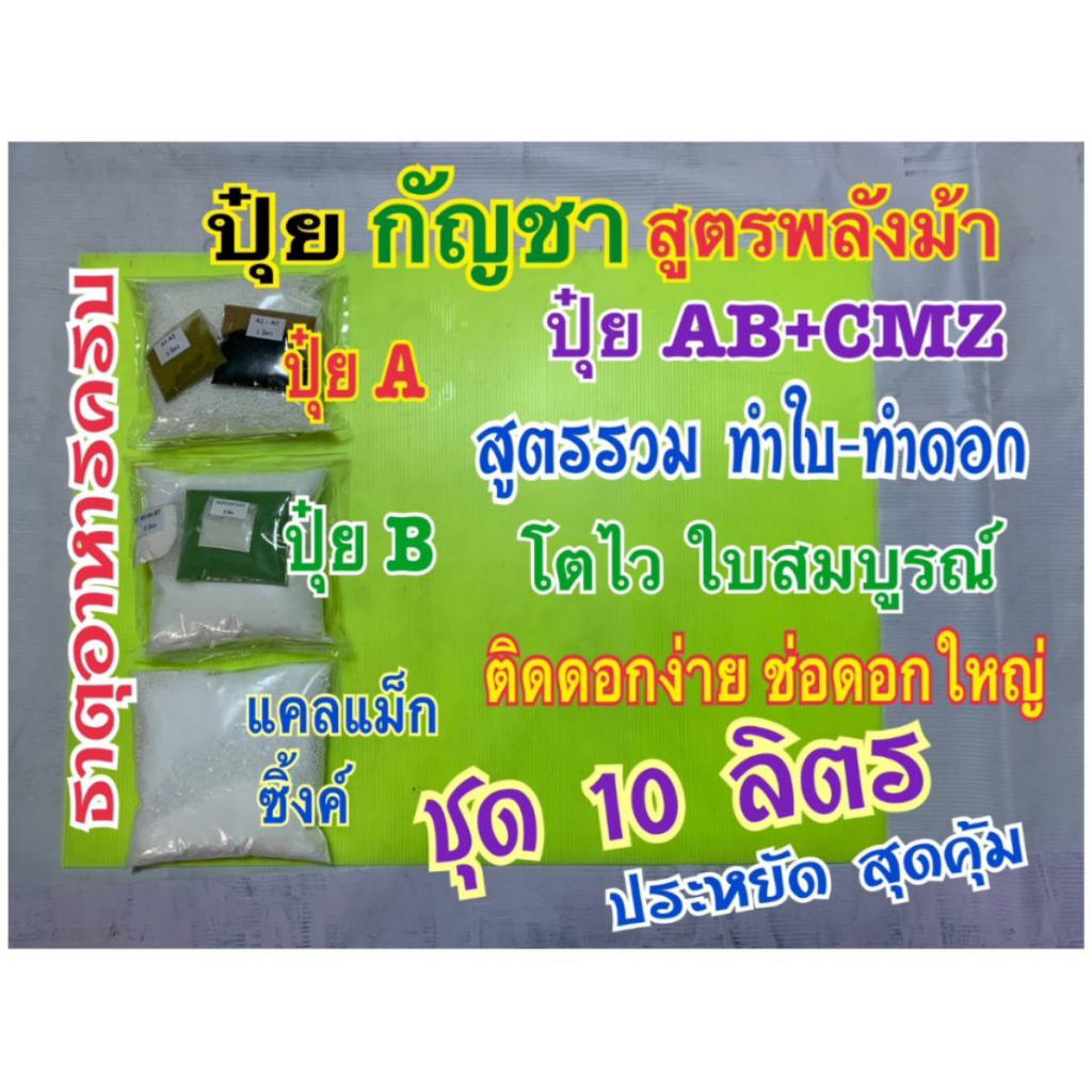 ปุ๋ย กัญ ปุ๋ยกันชา ชุด 10 ลิตร สูตรพลังม้า ปุ๋ยAB+แคลแม็กซิ้งค์CMZ สูตรรวมทำใบ-ทำดอก