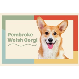 ตุ๊กตาน้องคอร์กี้ Pembroke Welsh Corgi