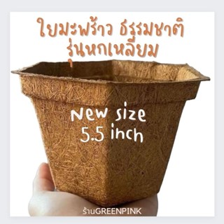 กระถางใยมะพร้าว 5.5นิ้ว หกเหลี่ยม coir pors cocopots coconut fiber pots กระถางต้นไม้ กระถางใยมะพร้าว ใยมะพร้าว รักษ์​โลก