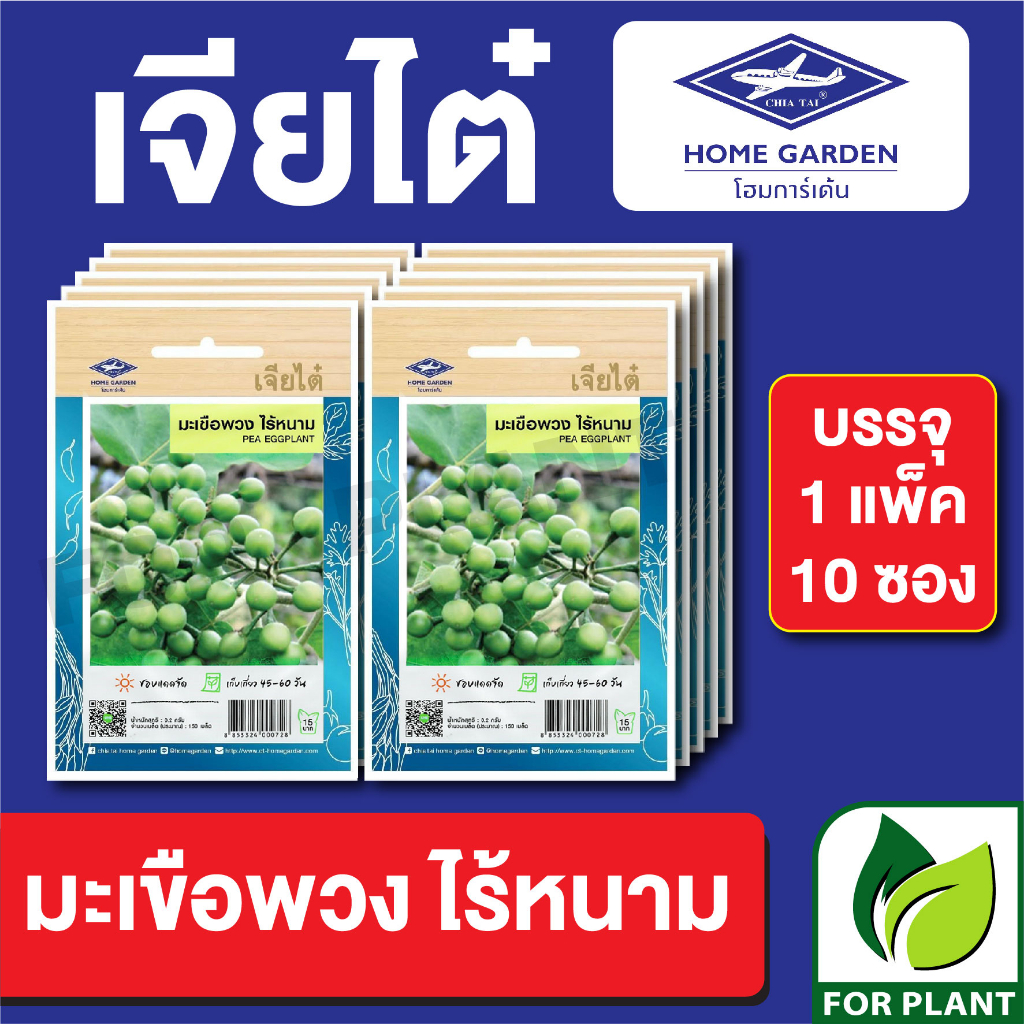 เมล็ดพันธุ์ ผักซอง มะเขือพวงไร้หนาม ตราเจียไต๋ CT15 บรรจุแพ็คล่ะ 10 ซอง ราคา 75 บาท