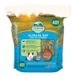 Oxbow Alfalfa Hay หญ้าอัลฟาฟ่า (40oz) เป็นหญ้าที่ให้พลังงานสูง มีโปรตีนและแคลเซียมสูงกว่าหญ้าชนิดอื่นๆ กลิ่นหอมมาก