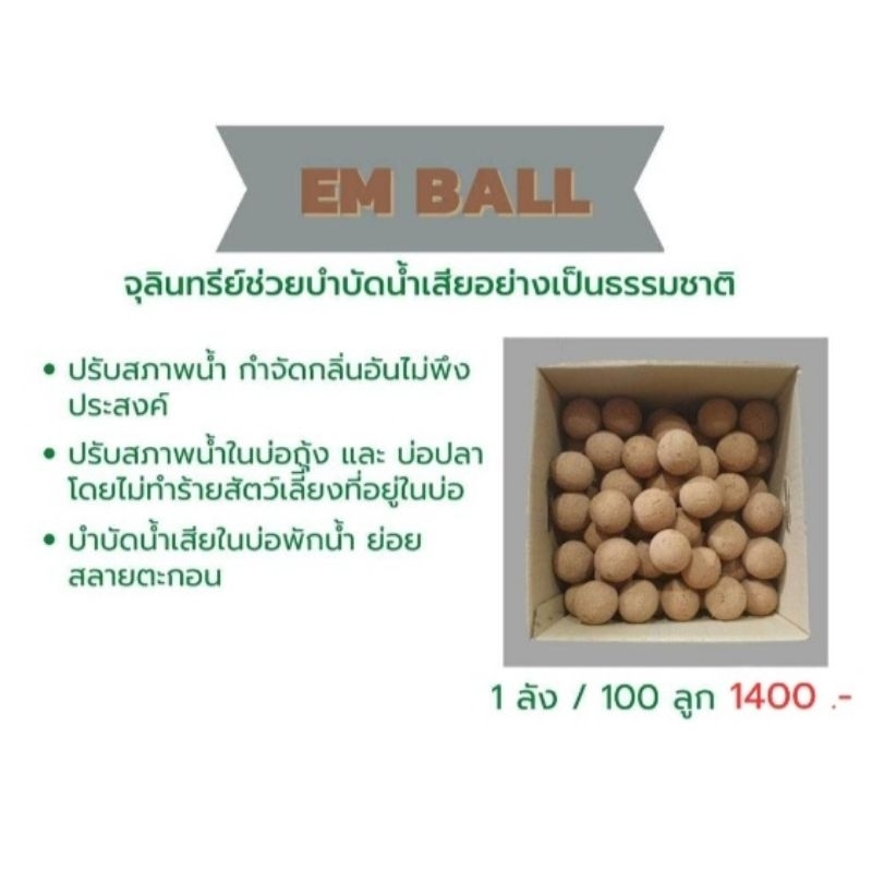 EM BALLกำจัดกลิ่นบำบัดน้ำเสีย