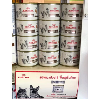 Royal Canin Recovery can 195g อาหารกระป๋องสำหรับสุนัขและแมวป่วย พักฟื้นหลังผ่าตัด