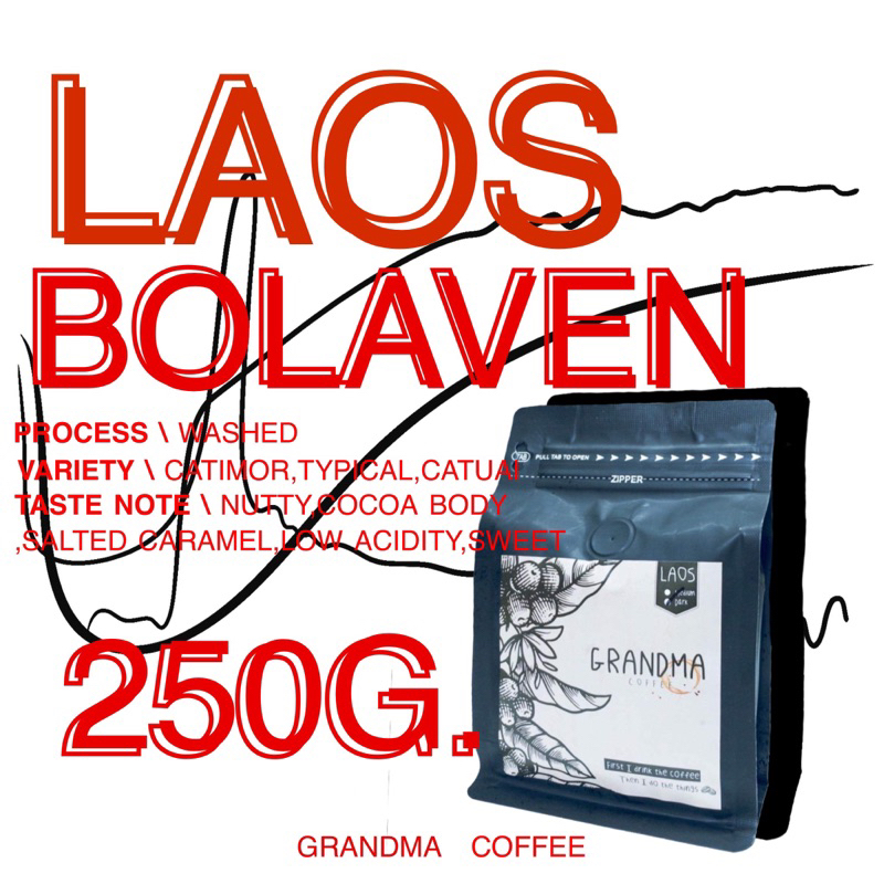 เมล็ดกาแฟคั่ว ลาว Bolaven 250กรัม กาแฟคั่วใหม่ทุกออเดอร์