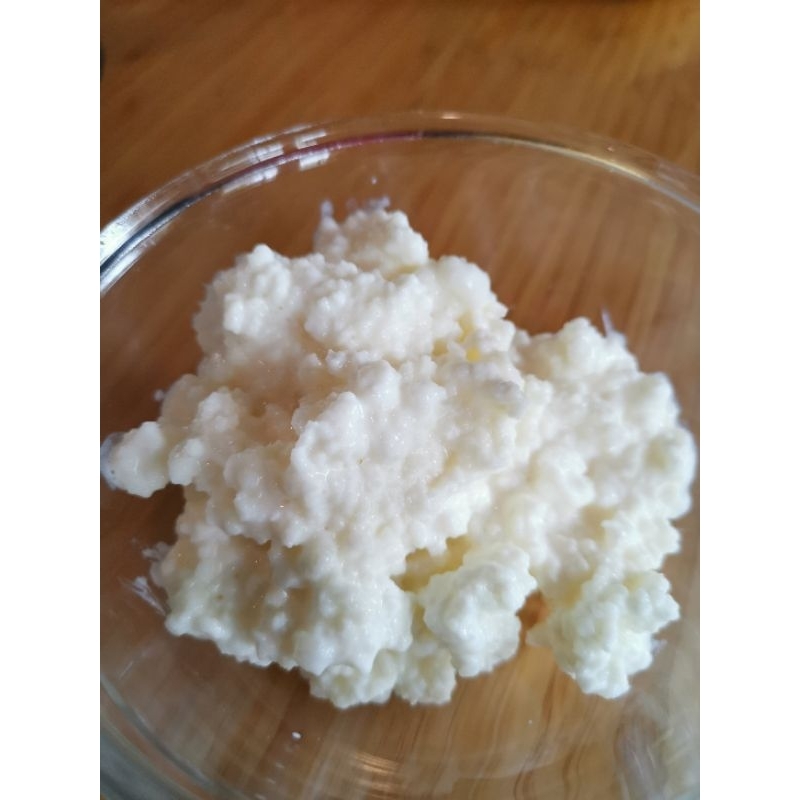 คีเฟอร์เกรน Kefir grains  5สายพันธุ์