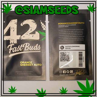 เมล็ดกัญชา Fastbuds Orange Sherbet Auto Cannabis Seeds (Pack of 3)