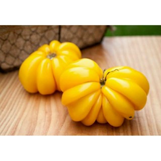 เมล็ดพันธุ์มะเขือเทศจีบสีเหลือง เยลโล่ รัฟเฟิล (Yellow Ruffled Tomato Seed) บรรจุ 15 เมล็ด ของแท้ คุณภาพดี ราคาถูก