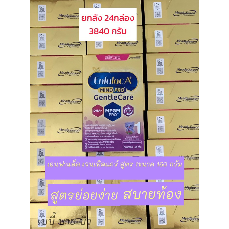 คุ้มกว่า 3840 กรัม นมเอนฟาแล็ค เจนเทิลแคร์ ขนาด 160 กรัม 24 กล่อง (0-12 เดือน) สูตรย่อยง่าย สบายท้อง