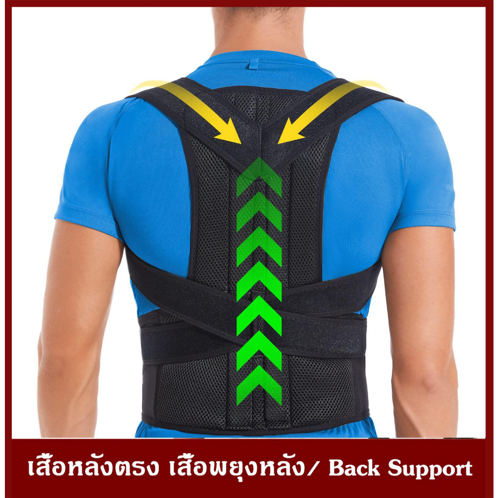 แก้ปวดหลัง พยุงหลัง เสื้อพยุงหลัง เข็มขัดพยงหลัง ที่พยุงหลัง ดัดหลัง ปวดหลัง ที่ดัดหลัง สายรัดเอว แก้ปวดเมื่อย หลังตรง ราคา ถูกที่สุด ดีลบีเคเค