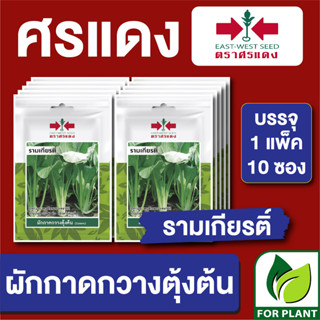 เมล็ดพันธุ์ ผักซอง กวางตุ้งต้นรามเกียรติ์ ตราศรแดง บรรจุแพ็คล่ะ 10 ซอง ราคา 70 บาท