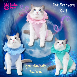 Kutiepom [ส่งจากไทย] ชุดหลังผ่าตัด ชุดกันขนร่วง แมว สุนัข พันธุ์เล็ก Recovery Suit for small Pet Cat and Dog