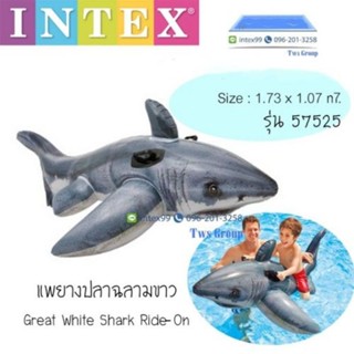 Intex 57525 แพปลาฉลามสีเทา