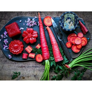 เมล็ดพันธุ์แครอทแดง เกียวโต เรด (Kyoto Red Carrot Seed) บรรจุ 100 เมล็ด ของแท้ คุณภาพดี ราคาถูก นำเข้าจากต่างประเทศ