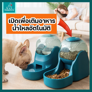 [มี 4 สี] ที่ให้อาหารสัตว์เลี้ยงอัตโนมัติ ที่ให้อาหารสนุขอัตโนมัติ ที่ให้อาหารแมวอัตโนมัติ ชามข้าวสุนัข ชามข้าวแมว