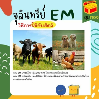 หัวเชื่อEMแท้100% ขนาด5ลิตร หัวเชื้อจุลินทรีย์ชีวภาพอีเอ็ม บำบัดน้ำเสีย ดับกลิ่นโถสุขภัณฑ์(บิลแจ้งก่อนส่งของนะคะ)
