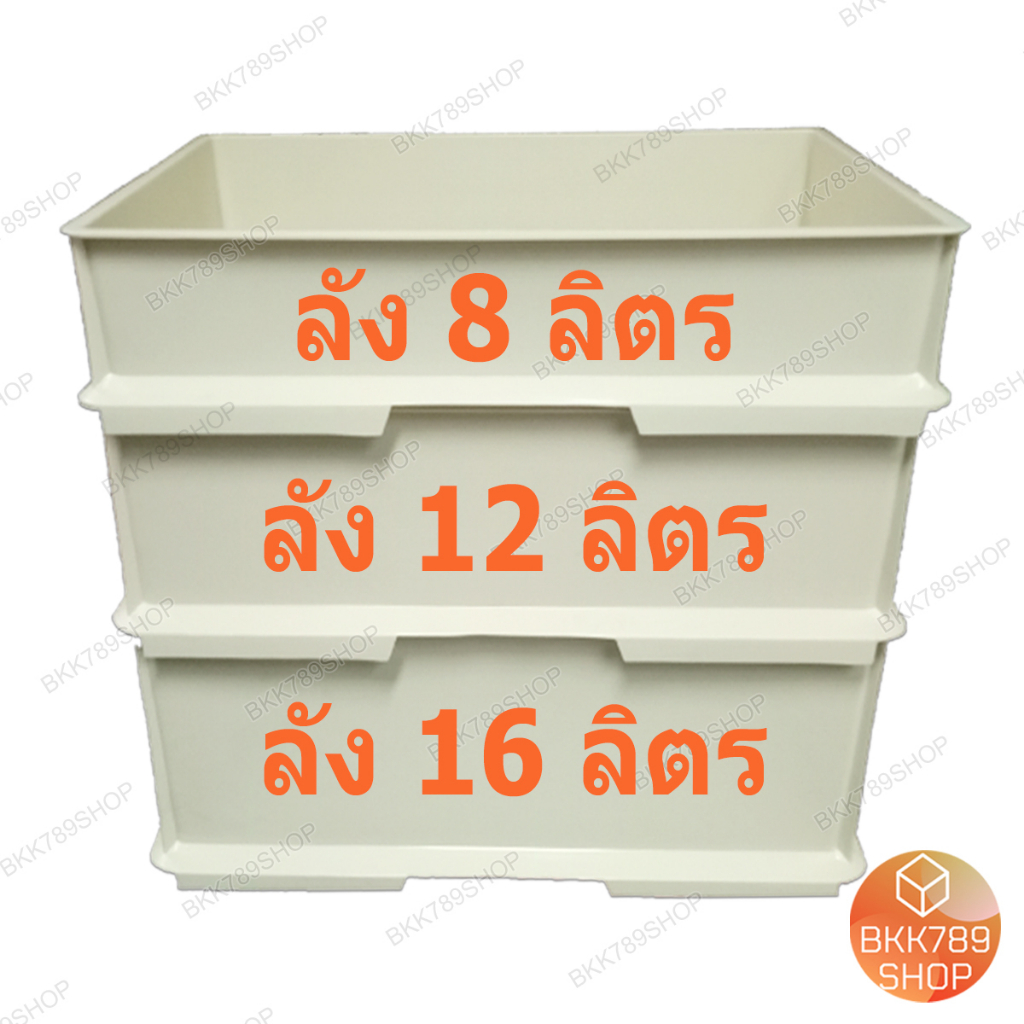 bkk789shop ลังเบเกอรี่ 16 ลิตร ซ้อนได้ ใส่ขนมปัง เค้ก โดนัท กล่องใส่อาหารเครื่องดื่ม พลาสติก มีฝาปิด - รูปที่ 3