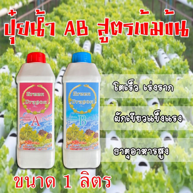 ปุ๋ยน้ำ AB สูตรเข้มข้น