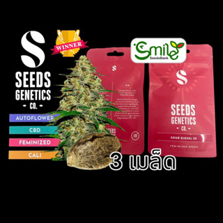 เมล็ดกัญชา Seeds Genetics - Sour Diesel (Fem)