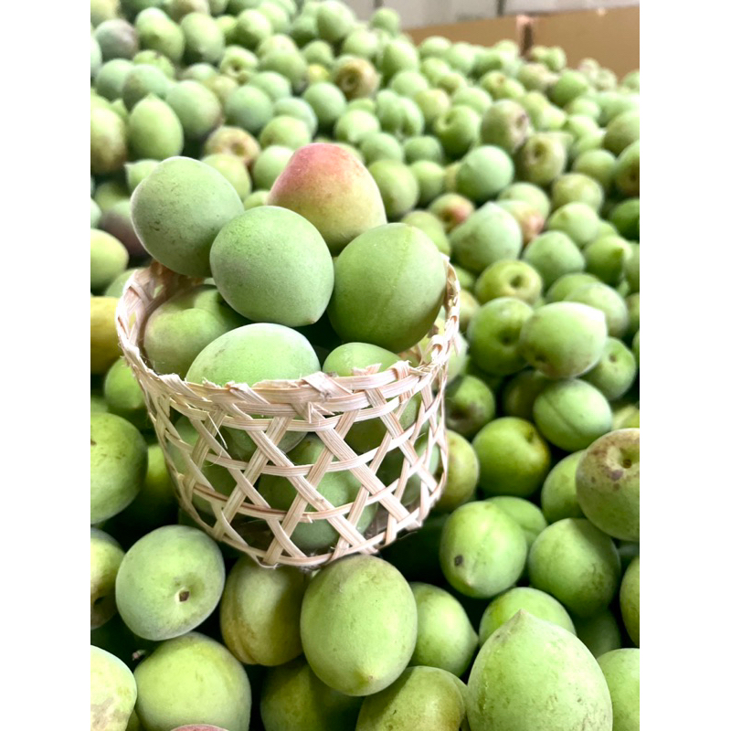 บ๊วยสดส่งตรงจากสวนโล49บาท