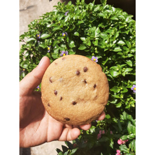 🍪🍫Chocolate chip cookie🍪🍫 ซอฟคุกกี้ช็อกโกแลตชิพ