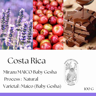 เมล็ดกาแฟ Costa Rica Mirazu MAICO Baby Geisha